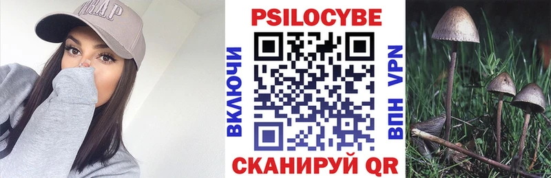 mega зеркало  где найти наркотики  Чадан  Галлюциногенные грибы прущие грибы 