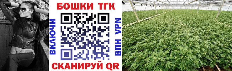 дарк нет клад  Чадан  Канабис SATIVA & INDICA 